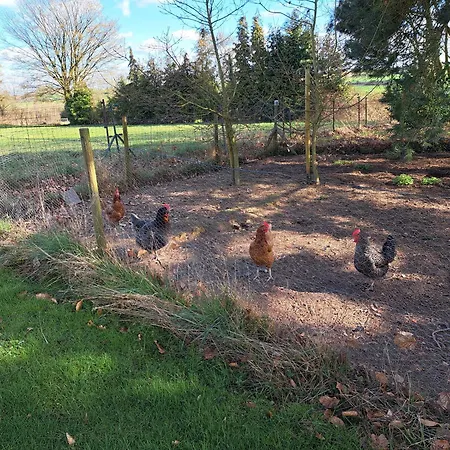 בית הארחה Haillodge-gite Nature Ohey