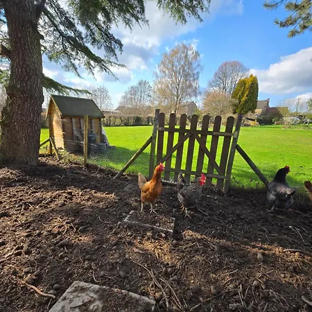 Haillodge-gite Nature 3* Ohey