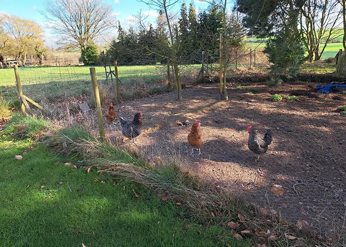 בית הארחה Haillodge-gite Nature Ohey