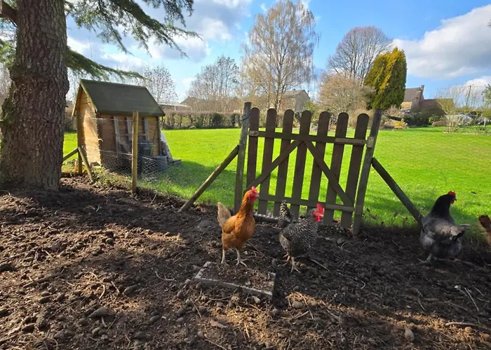 Haillodge-gite Nature 3* Ohey